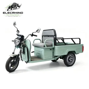 Electric cargo tricycle Adult 3 wheel trike 48v 500w motor ZY3001